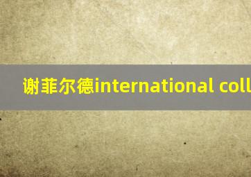 谢菲尔德international college